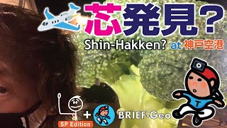 【BRIEF#74】?️ 芯発見？ at 神戸空港 //GeoUPDATE