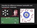 Nucleic Acids and Enzyme Functions