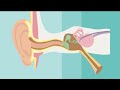 Understanding Sound and Hearing