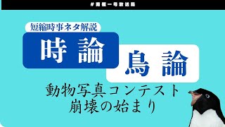 【南極一号放送局】時論鳥論　動物写真コンテストAIによる崩壊のはじまり