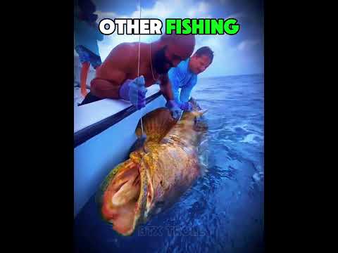 Others Catch Fish vs He Caught THIS 💀