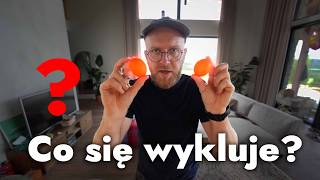 🐥 Pierwsze wykluwanie kurczaków w domu! 😭 NIE TAK TO MIAŁO WYGLĄDAĆ...