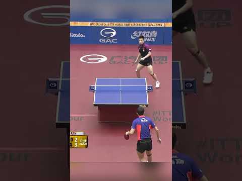 Xu Xin vs Fan Zhendong💯🔥😎#fanzhendong #xuxin  #tabletennis #pingpong #wtt #ittf #shorts