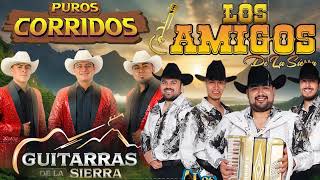 Guitarras de la Sierra ft Los Amigos de la Sierra 🎸 Mix Corridos Y Rancheras con Guitarras