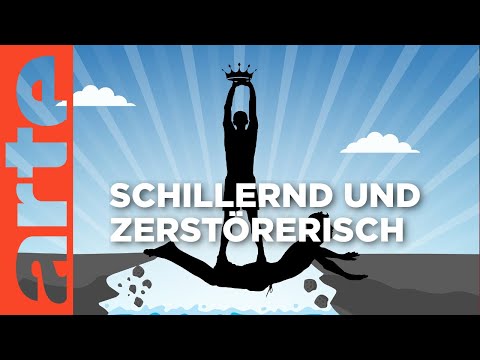 Die Wahrheit über Narzissmus: Mehr als toxisch?! | Der Livetalk | ARTE Saloon