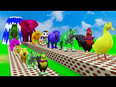 Long Slide Game With Elephant Gorilla Buffalo Hippopotamus Tiger 3d Animal Game Funny 3d Animals