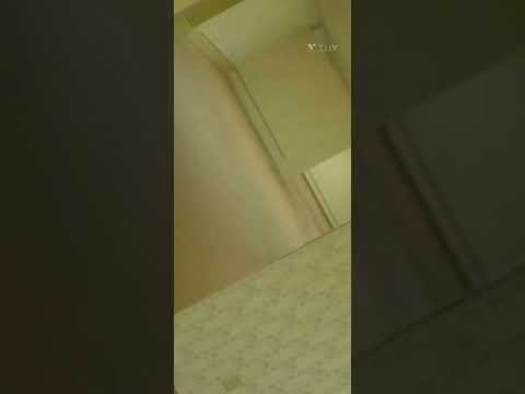 o que é o nível 0 das backrooms #shorts