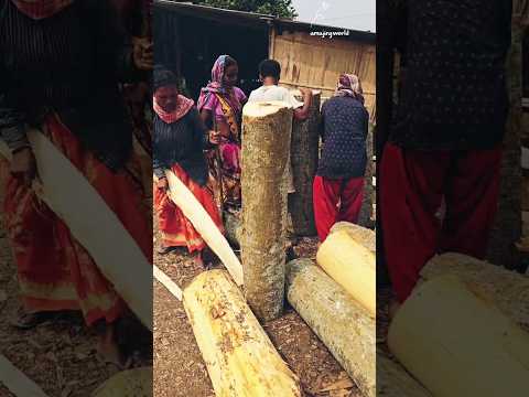 From Logs to Sheets: The Plywood Manufacturing Process #shorts #shortsvideo #short #art #diy #crafts