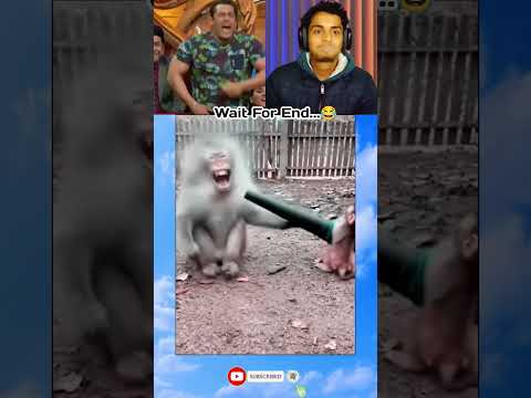 Introducing the "VitalWear SmartBand," a next-generation wearable gadget