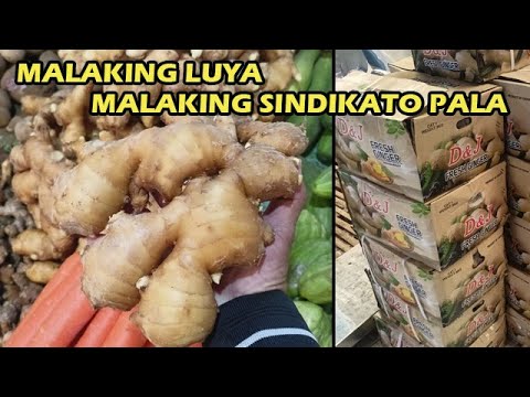 Napakalaking Pera ang Kinita Nila | Magugulat kayo sa Nalalaman ko kung Bakit ang Mahal ng LUYA.