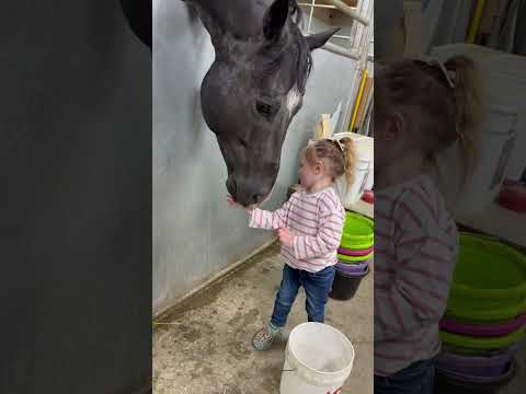 Giving out her treats! #horse #equestrian #farming #equestrian #babygirl