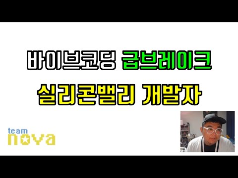 바이브 코딩 실리콘 밸리 개발자들 급브레이크