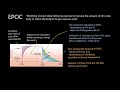 Understanding EPOC and Recovery