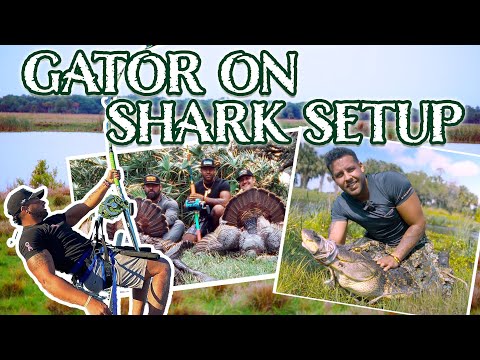 GATOR ON SHARK SETUP : Turkey Hunting | LISHARKMAN