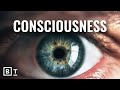 Understanding Consciousness