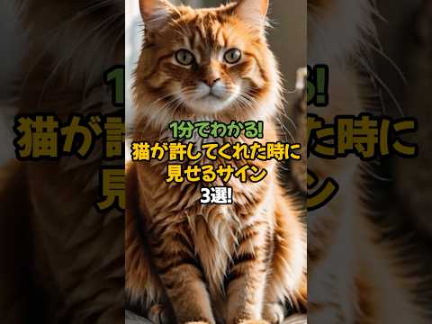 【感動する猫の本音】猫が許してくれた瞬間3選!🐾1分で解説! #shorts #猫 #雑学