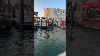 Dubai tour with Ishu is live #dubai #viral #viralvideo #youtubeshorts #burjkhalifa #ramadan #ramadan