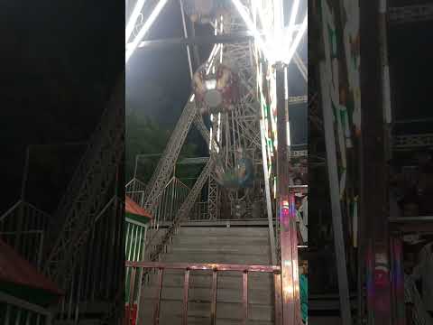 #birdtrend #love #song #viral maahisangeet