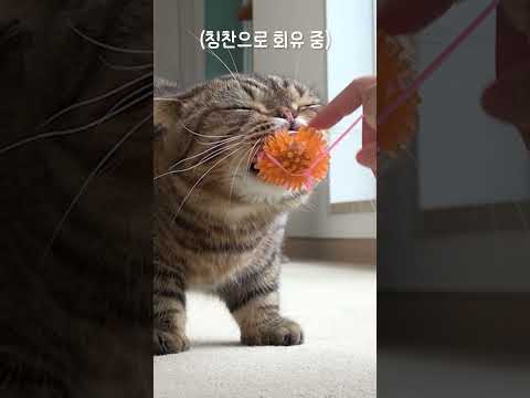 맹수 <strong>조련</strong>(?)에 성공(?) 했습니다