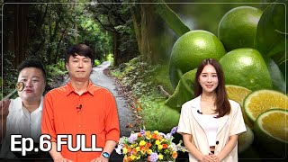 2024-08-29 [생방송 제주엔] 전체방송 다시보기 다시보기