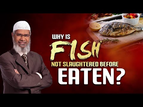 Why is Fish Not Slaughtered before Eaten? - Dr Zakir Naik