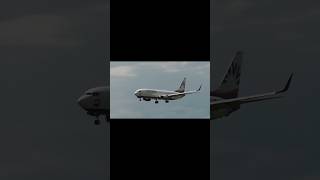 sun express b737 landing #aviation #planespotting #zurich #zurichairport #boeing #b737 #shorts #abcd