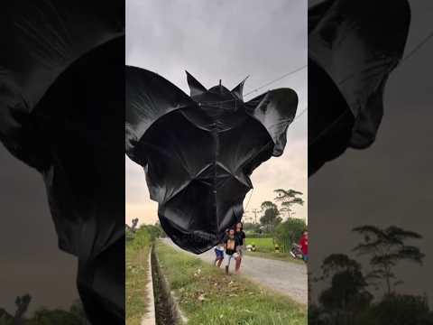 2 pemuda terangkat akibat menaikkan layangan besar #layanganzumbo #layanganbesar #shortsvideo