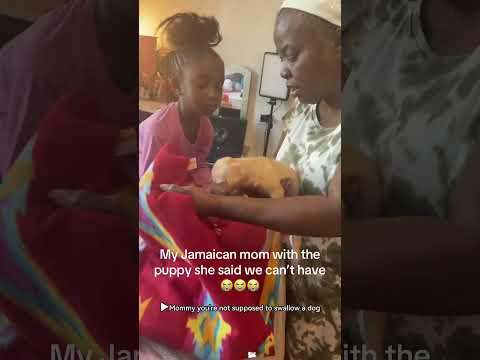 My mom and the dog she didn't want. #funny #dog #mom #funnymoments #doglove #funnypets