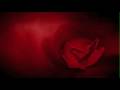 Understanding Sickle Cell Disease Effects