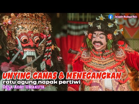 Momen Menegangkan Saat UNYING Ganaz Ida Ratu Agung Umakuta Medal Napak Pertiwi