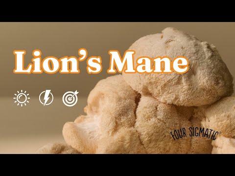 Everything Lion's Mane with Tero | Four Sigmatic