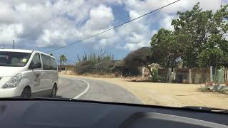 Driving in Aruba in a Rental Car
