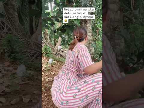 #gadisdesa #shortsfeed #shorts #viral #cute #waterfall #humor #outfit #funny #comedy #vlog