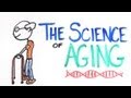 Understanding Aging and Cellular Biology