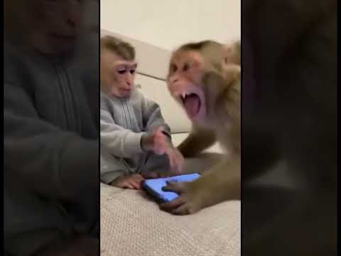 Mom is annoyed at baby's phone addiction #mom #scrolling #funny #fyp