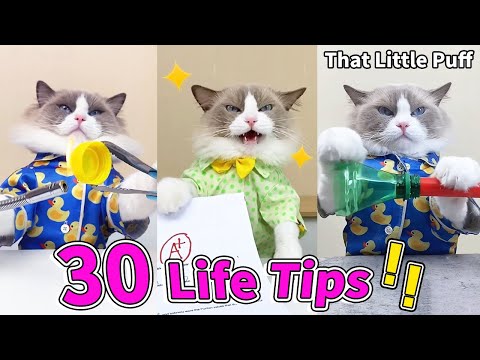 30 Life Tips You Need To Know!🤩 | That Little Puff