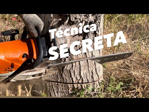Cómo Talar 2 Árboles Al Mismo Tiempo