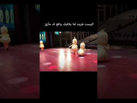 #اكسبلور #funny #sorts #cat #متابعه #memes #مضحك #ترند #مقاطع #ضحك هههههههههههههاييييي