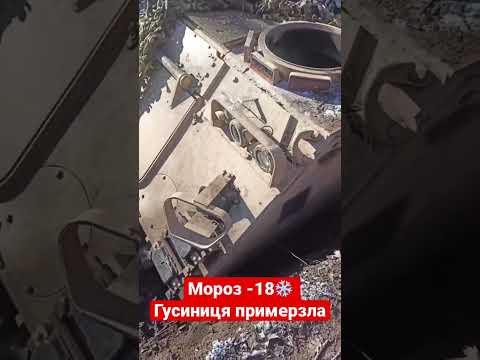⚡️Мороз -18❄️ Гусиниця примерзла