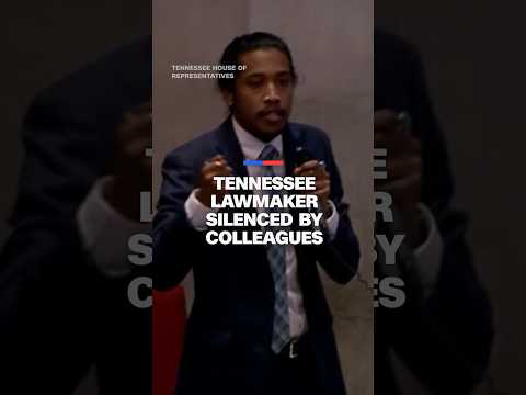 Tennessee lawmaker silenced by colleagues