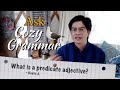 Understanding Predicate Adjectives and Grammar