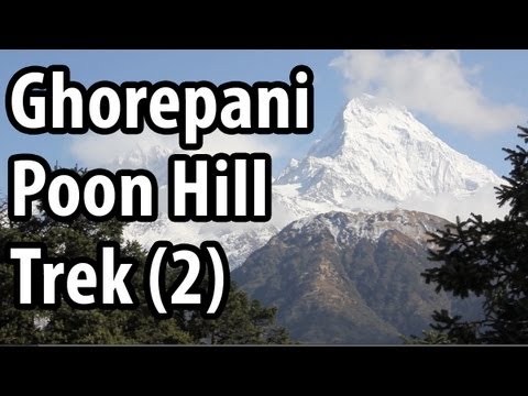 Ghorepani Poon Hill Trek - Beauty of Nepal (Part 2)