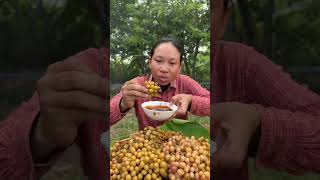 ទំពាំងបាយជូរព្រៃត្រាំ