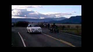 Honda TRX450r  vs  Ford Mustang Race 2022