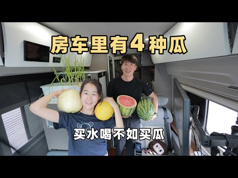 在新疆买水不如买瓜，房车里有4个品种的瓜，我们实现吃瓜自由 It's better to buy melons than water in Xinjiang