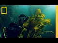 Exploración y Conservación de la Patagonia Chilena