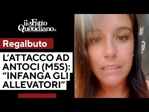 Antoci (M5s) denuncia la mafia dei pascoli e Regalbuto (FdI) lo attaca: "Infanga gli allevatori"