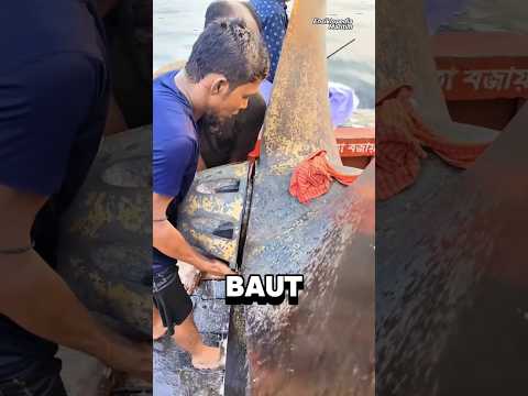 Propeller Kapal yang Hilang? dan Melepas Cap Propeller #kapal