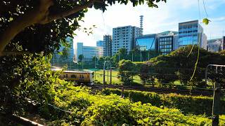 Japan Summer Sunset Stroll with City Parks And Trains Under Soft Sunset Light
