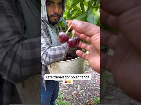 Dice que piscaba café 🙉 #trabajo #agricultura #farming #comedia